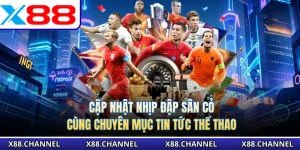 Tin Tức Thể Thao - Cập Nhật Nhịp Đập Sân Cỏ Cùng Chuyên Mục